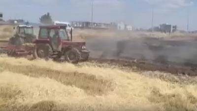 Tarlada yangın çıktı! 80 dönüm buğday kül oldu