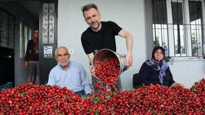 Kilosu 250 liradan başlıyor: Hasadı devam ediyor, ülkeye yüzlerce milyon dolar kazandırıyor