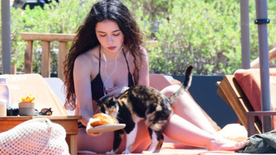 Plajda yanına gelen kediye 1500 liralık hamburger ısmarladı