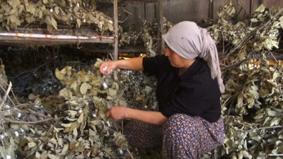 170 aile ölen mesleği diriltti: 9 milyon 375 bin lira kazandırdılar