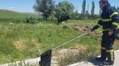 Ev sahibinin yüreği ağzına geldi! İstenmeyen misafiri itfaiye yakaladı