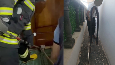 Güneydoğu'da sıcaklar yılanları uyandırdı: İki ilde peş peşe evlere girdiler!