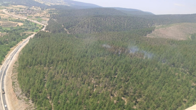 Bursa'da orman yangını!