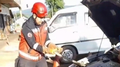 Sürücülerin korkulu rüyası! Sakarya'da aracın kaputundan yılan çıktı