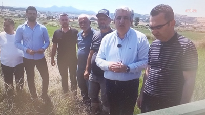Çeltikte maliyet krizi büyüyor! CHP'li Çan'dan hükümete çağrı