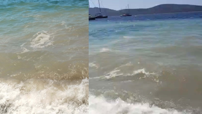 Bodrum'da deniz kirliliği alarmı: Başsavcılıktan soruşturma