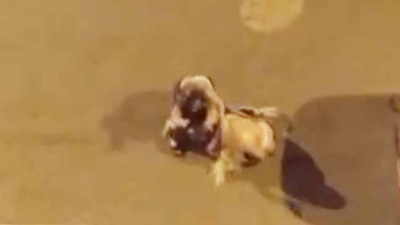 Üç kadın gece yarısı sokak ortasında saç saça baş başa kavga etti: O anlar kamerada