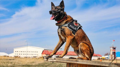 Narkotik köpekleri uyuşturucu deposunu patlattı 2 kişi tutuklandı