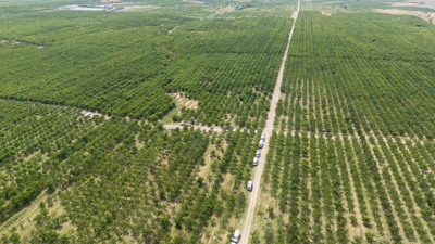 Köydeki tarlaların hepsini birleştirdiler: Sonu gelmeyen dev arazide verimleri 30 kat arttı