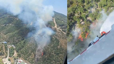 Son Dakika | İstanbul, İzmir, Kütahya ve Aydın'da orman yangınları