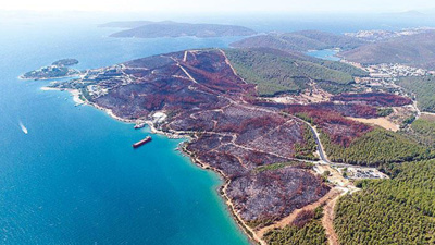 Muğla’da yanan ormanlık alanların imara açılacağı iddiasına validen yanıt