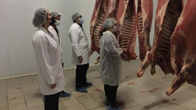 Kesimhanelere 24 saat kamera kaydı şartı: Yeni yönetmelik Resmi Gazete'de yayımlandı