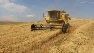 Buğdayda alarm veren yükseliş! Gözler ekmek fiyatlarında