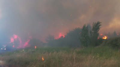 Çanakkale'de yangın kabusu: Otluk alandan ormana sıçradı