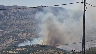 Bir orman yangın daha! Adıyaman'ı dumanlar sardı