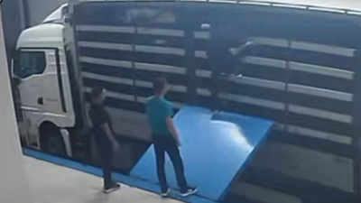48 suçun faili Karacellatlar yöneticisi sınırda tır dorsesinde yakalandı