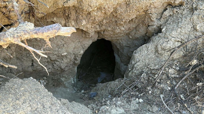 Orman yangınında ortaya çıkan tümülüsler definecilerin yağmasına uğradı: Resmi kazı başlatılacak