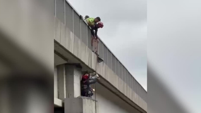 Kuzey Marmara Otoyolu'nda nefes kesen keçi kurtarma operasyonu
