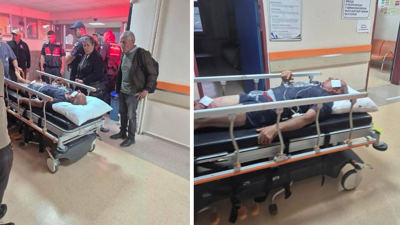 Ayının saldırısından köpekleri kurtardı