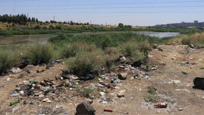 Dicle Vadisi çöplüğe döndü: Piknikçilerin sorumsuzluğu felakete yol açtı