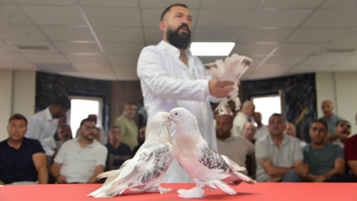 Bir ev parasına satılıyor! 200 tanesi Erzurum'da podyuma çıktı