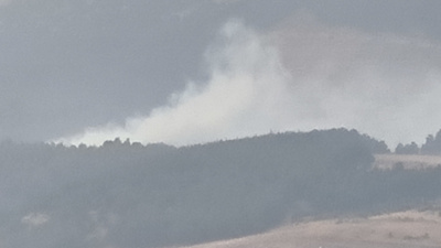 Kahramanmaraş'ta orman yangını: Müdahale devam ediyor