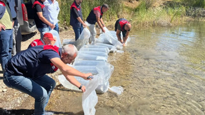 Görevliler saatlerce uğraştı: Şeffaf poşetlerle taşıdılar, tam 450 bin tane!
