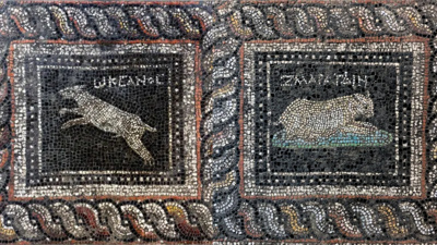 Balıkesir'de bulunan 1800 yıllık villadan kedi ve köpek mozaiği çıktı: İsimleri Zümrüt ve Okyanus!