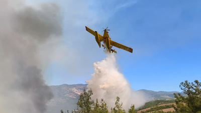 Adana'da korkutan orman yangını 3. gününde! Evler alevlere teslim oldu