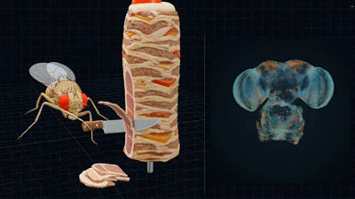 Sineğe döner kestirip araba park ettirdiler! Sosyal medyadaki çılgın paylaşımlardaki gerçek buymuş