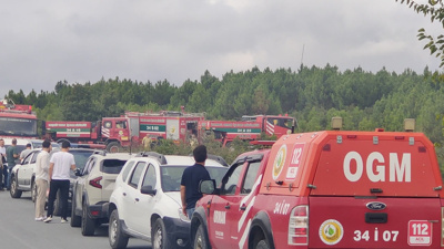 Arnavutköy'de orman yangını!