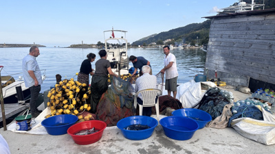 Karadeniz’den ağlar dolusu çıktı! Kasa kasa gönderdiler