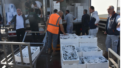 Denizden adeta fışkırıyor kapış kapış gidiyor: 60 liradan satılıyor