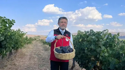 Geçen yıl 2,5 milyon tondu: Bu yıl rakam 3 milyon 850 bine çıkacak