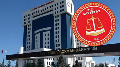 Sayıştay raporunda dudak uçuklatan rakam: Milyonlarca hayvanın kaydı yok