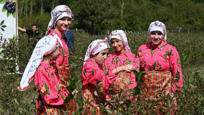 Yıllardır işlenmiyordu: Verimli topraklar yıllar sonra yeniden üretimle buluştu! Hasat başladı