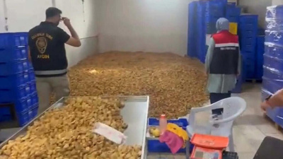 Polis ekipleri gözlerine inanamadı: Tam 25 ton ele geçirildi