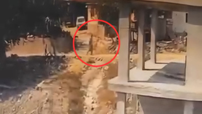 Köpeği sopayla darbeden şüpheli ifadesinin ardından serbest bırakıldı