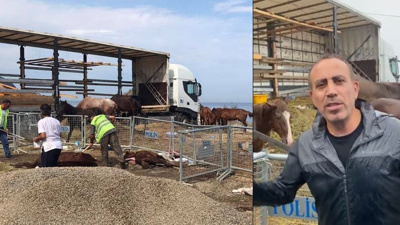 Kaderine terk edilen atlara Haluk Levent sahip çıktı
