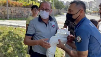 Arnavutköy'de ağaçların arasında yeni doğmuş bebek bulundu