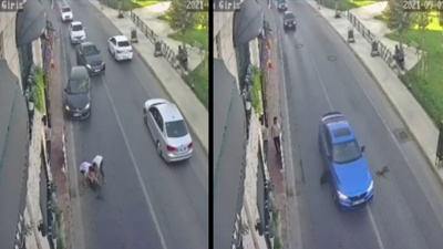 Bakırköy'de otomobil 2 köpeğe çarptı, umursamadan yola devam etti