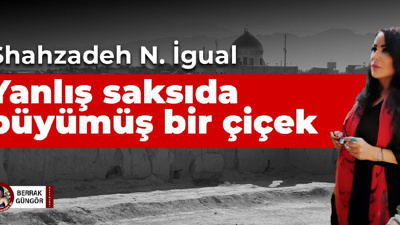Yanlış saksıda büyümüş bir çiçek: Shahzadeh N. İgual