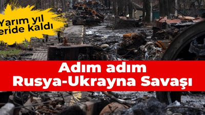 Adım adım Rusya-Ukrayna Savaşı: Yarım yıl geride kaldı