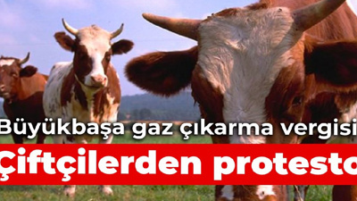 Büyükbaşa gaz çıkarma vergisi: Çiftçilerden protesto