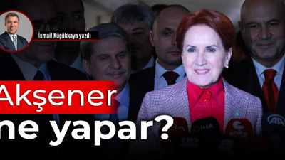 Akşener ne yapar?