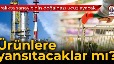 Aralıkta sanayicinin doğalgazı ucuzlayacak: Ürünlerine yansıtacaklar mı?