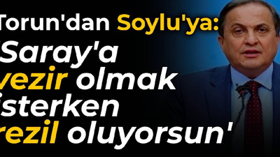 CHP'li Torun'dan Bakan Soylu'ya: Tarihte görülmemiş bir 'beceriksiz' arıyorsan aynaya bak