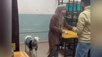 İstanbul'da bir vatandaş oy kullanmaya kuzusu ile birlikte gitti