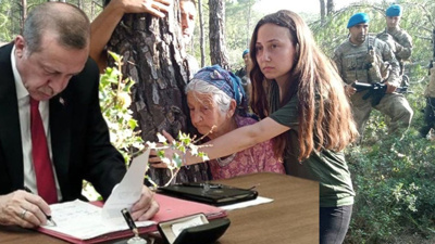Erdoğan'ın Kararıyla Akbelen Ormanı Çevresinde 'Acele Kamulaştırma' Kararı Resmi Gazete'de
