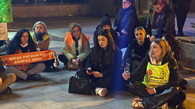 'Eros' Davasındaki Karara Hayvanseverlerden Tepki